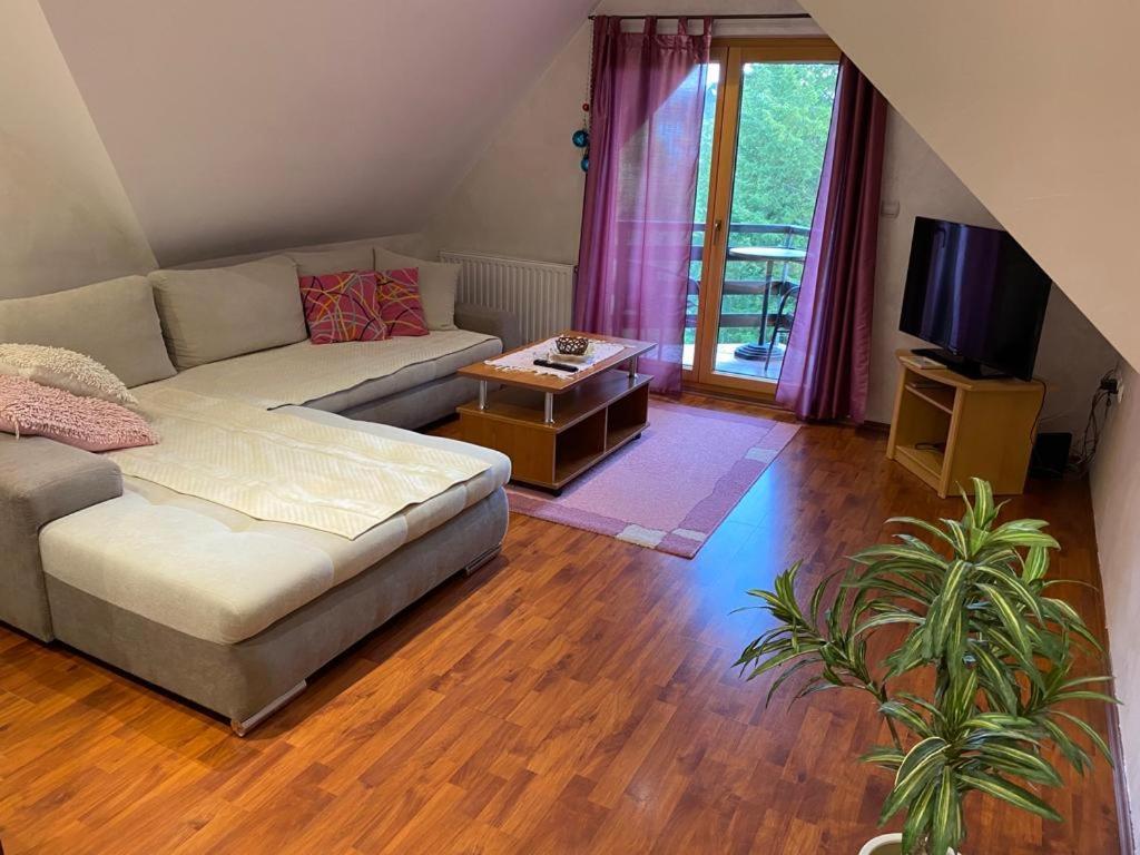 Apartments Vila Knez زلاتيبور الغرفة الصورة